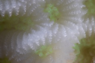 「無題」のサムネイル画像