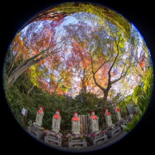 「無題」のサムネイル画像