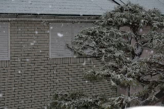 「無題」のサムネイル画像