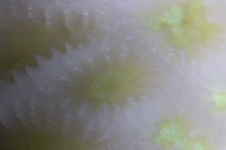 「無題」のサムネイル画像