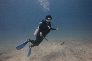 「同僚 N」のサムネイル画像