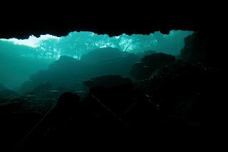 「無題」のサムネイル画像