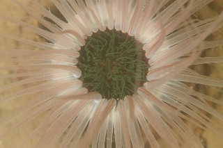 「無題」のサムネイル画像