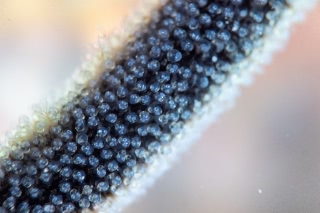 「無題」のサムネイル画像