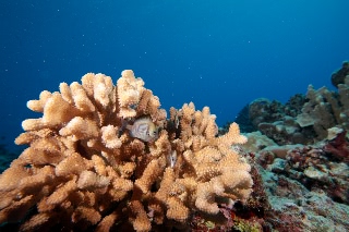 「無題」のサムネイル画像