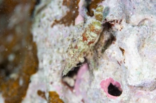 「無題」のサムネイル画像