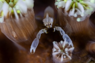 「無題」のサムネイル画像
