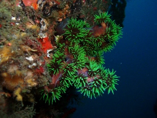 「無題」のサムネイル画像