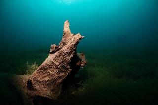 「無題」のサムネイル画像