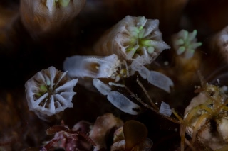 「無題」のサムネイル画像