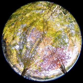 「無題」のサムネイル画像