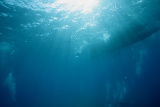 「無題」のサムネイル画像