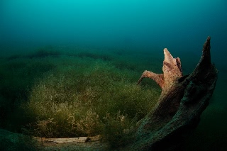 「無題」のサムネイル画像