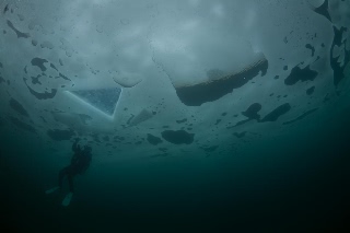 「無題」のサムネイル画像