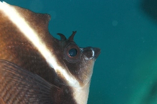 「無題」のサムネイル画像