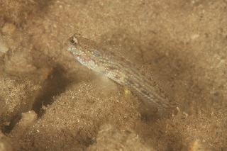 「無題」のサムネイル画像