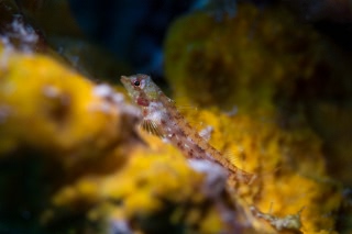 「無題」のサムネイル画像