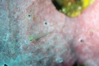 「無題」のサムネイル画像