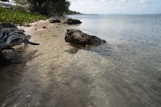 「無題」のサムネイル画像