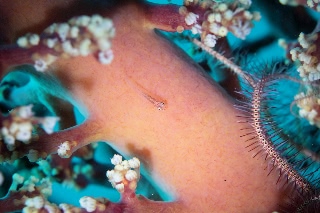 「無題」のサムネイル画像