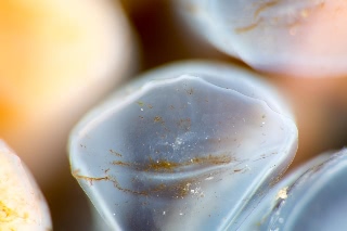 「アヤボラ」のサムネイル画像