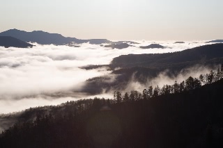 「無題」のサムネイル画像