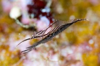 「無題」のサムネイル画像