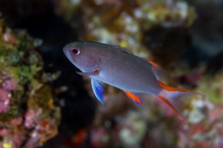 「無題」のサムネイル画像