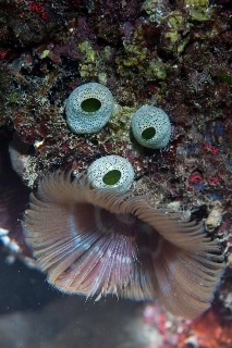 「無題」のサムネイル画像