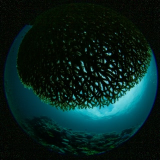 「無題」のサムネイル画像