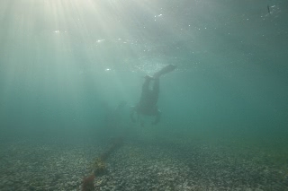 「無題」のサムネイル画像