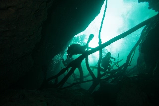 「無題」のサムネイル画像