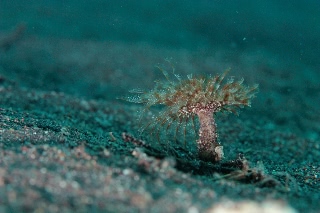 「無題」のサムネイル画像