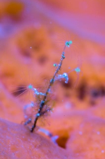 「無題」のサムネイル画像