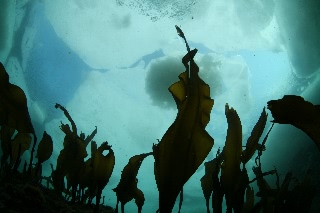 「異界の住人」のサムネイル画像