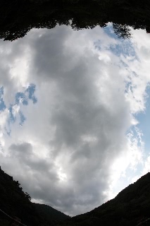 「無題」のサムネイル画像