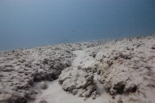 「無題」のサムネイル画像