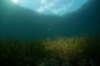 「無題」のサムネイル画像