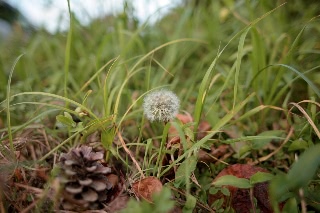「無題」のサムネイル画像