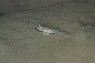 「無題」のサムネイル画像