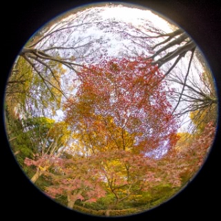 「無題」のサムネイル画像