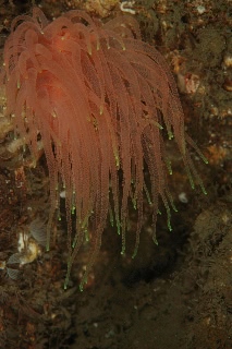 「無題」のサムネイル画像