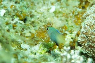 「無題」のサムネイル画像