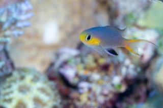 「無題」のサムネイル画像