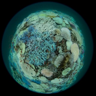 「無題」のサムネイル画像