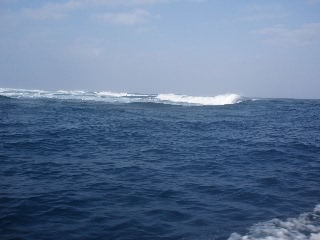 「久米島 二日目の帰港時」のサムネイル画像