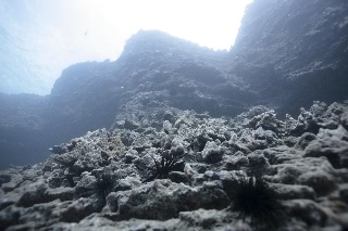 「無題」のサムネイル画像