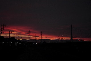 「無題」のサムネイル画像