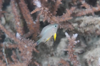 「無題」のサムネイル画像