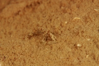 「無題」のサムネイル画像